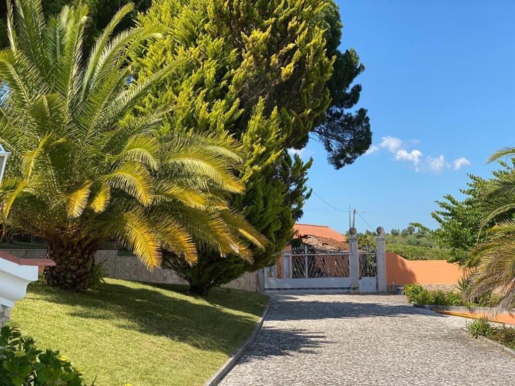 Quinta Do Alto Dos Pinheiros Villa Sao Joao da Ribeira Exterior photo