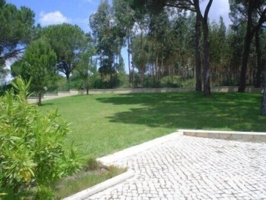 Quinta Do Alto Dos Pinheiros Villa Sao Joao da Ribeira Exterior photo